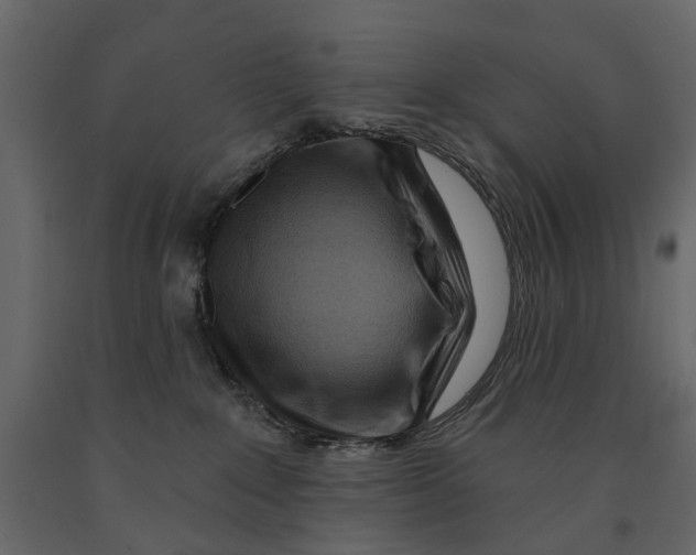 X0000090930235200708271050