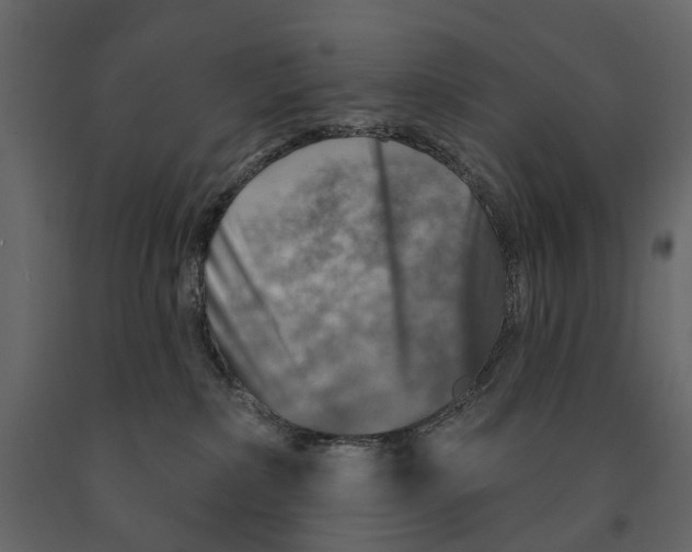 X0000090930236200708271050