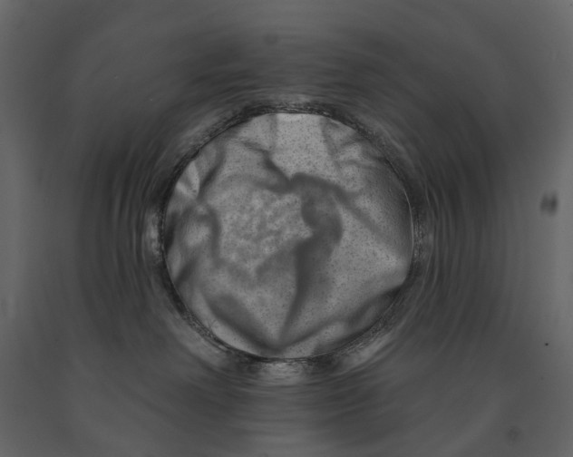 X0000090930238200708271050