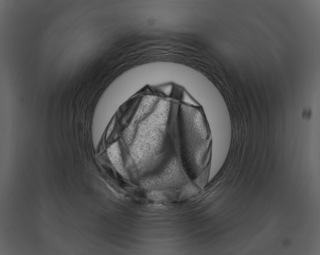 X0000090930239200708271050