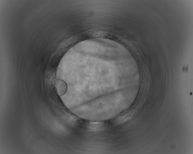 X0000090930240200708271050