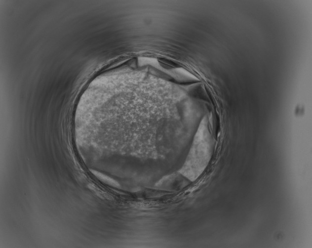 X0000090930241200708271050