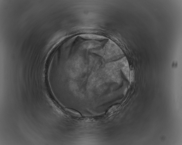 X0000090930243200708271050