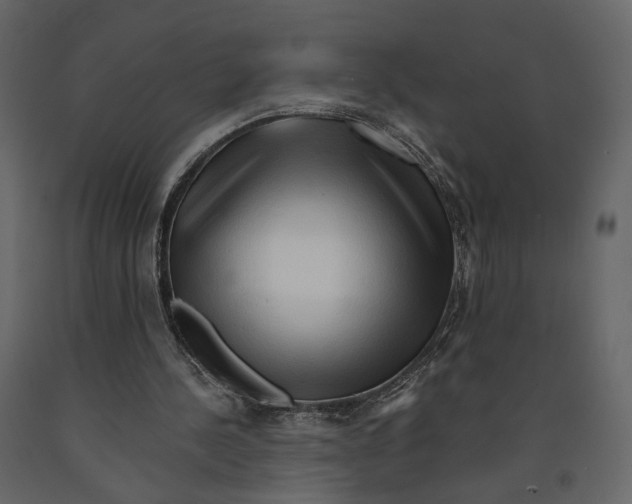 X0000090930244200708271050