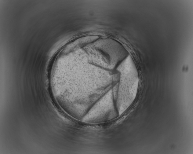 X0000090930245200708271050