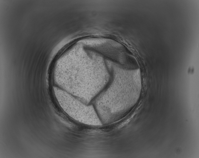 X0000090930246200708271050