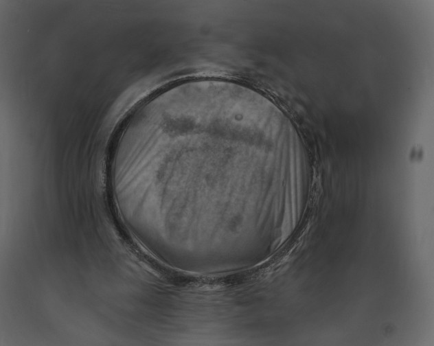 X0000090930247200708271050