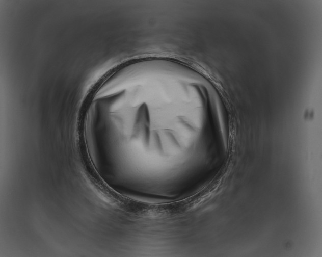 X0000090930248200708271050