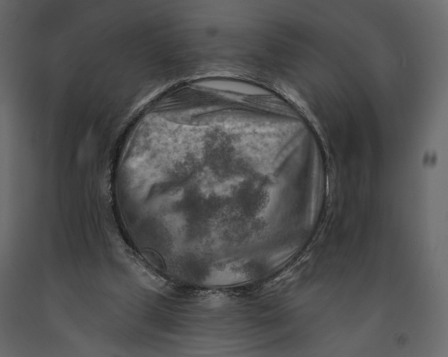 X0000090930249200708271050