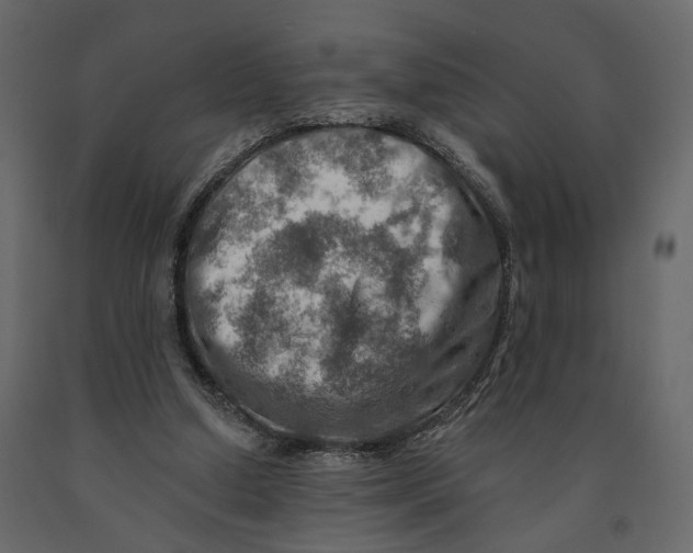 X0000090930250200708271050