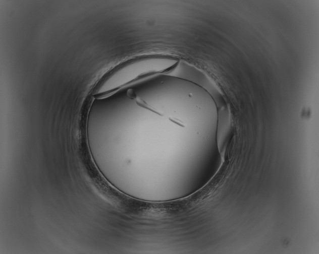 X0000090930252200708271050