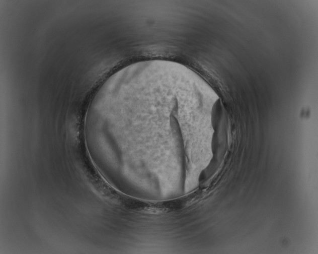 X0000090930255200708271050