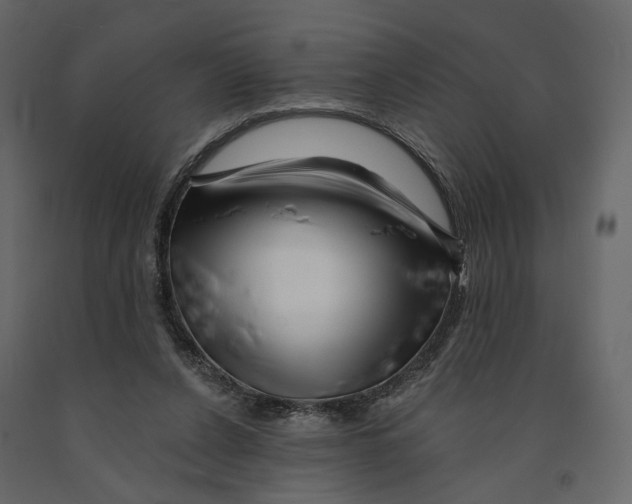 X0000090930256200708271050