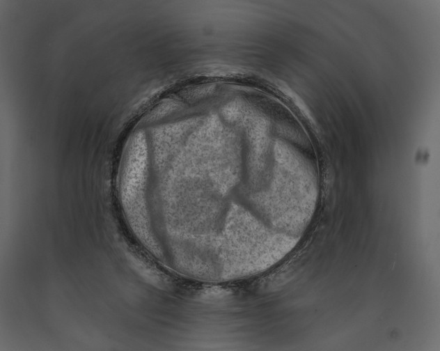 X0000090930257200708271050