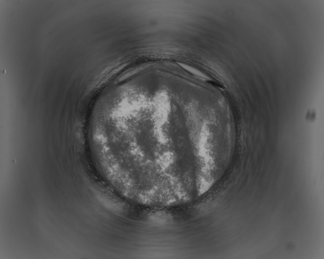 X0000090930258200708271050