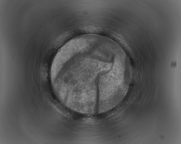 X0000090930259200708271050