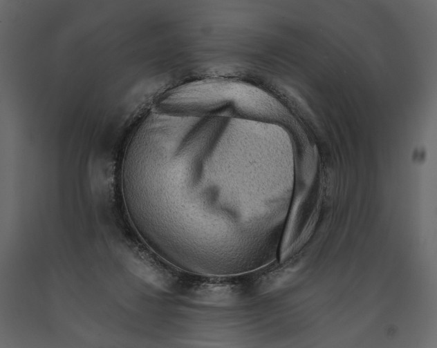 X0000090930260200708271050