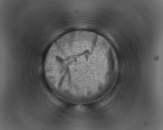 X0000090930261200708271050