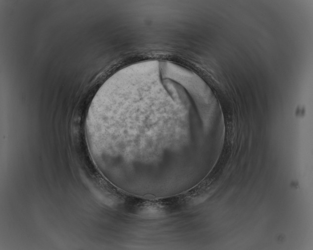 X0000090930263200708271050