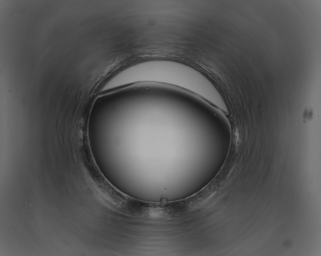 X0000090930264200708271050