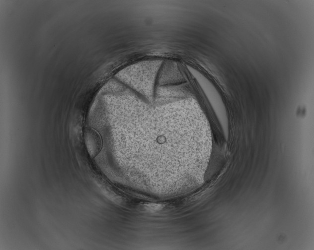 X0000090930265200708271050