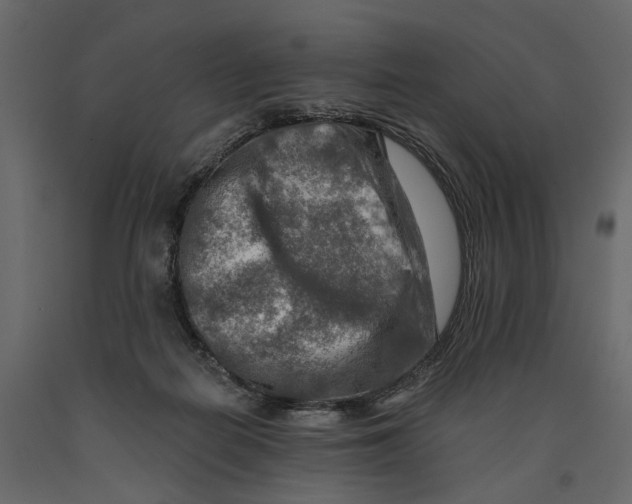 X0000090930266200708271050