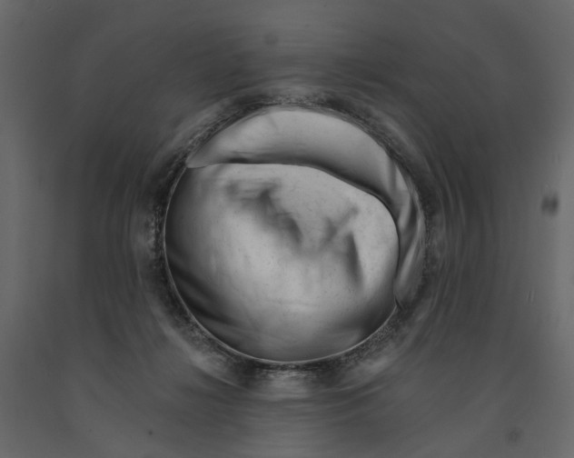 X0000090930268200708271050