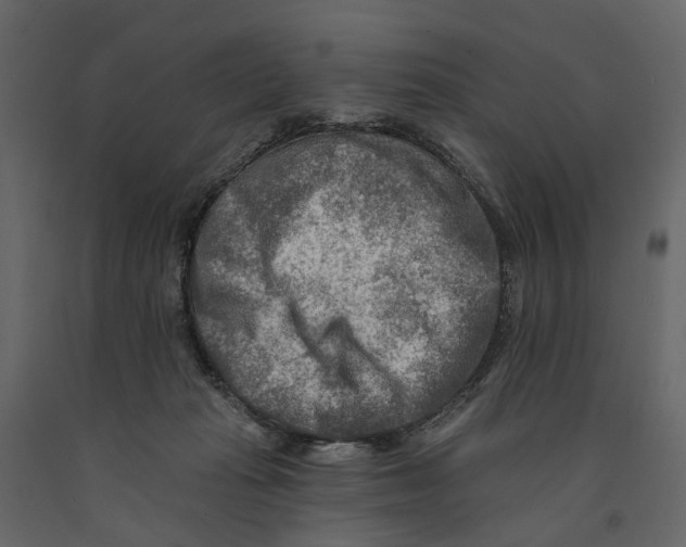 X0000090930269200708271050