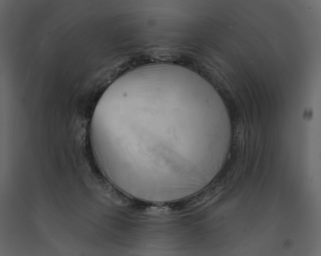 X0000090930271200708271050