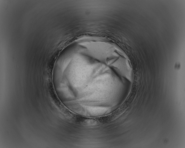 X0000090930272200708271050