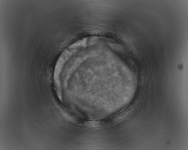 X0000090930273200708271050