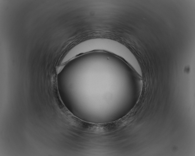 X0000090930276200708271050