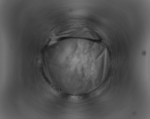 X0000090930277200708271050