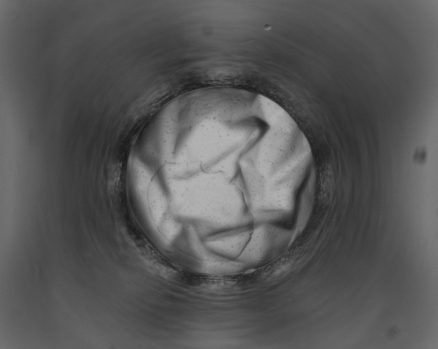 X0000090930278200708271050