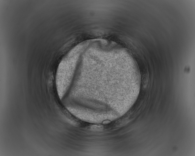 X0000090930279200708271050