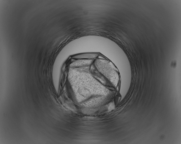 X0000090930280200708271050