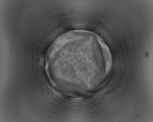 X0000090930281200708271050