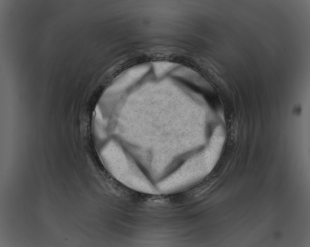 X0000090930283200708271050