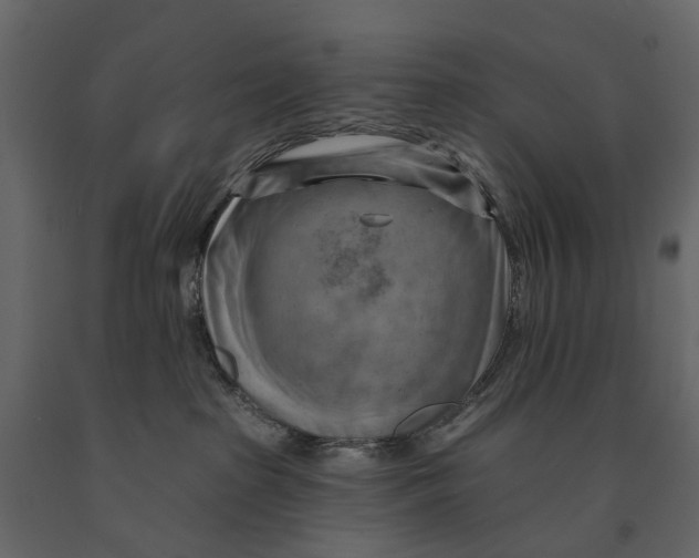 X0000090930285200708271050