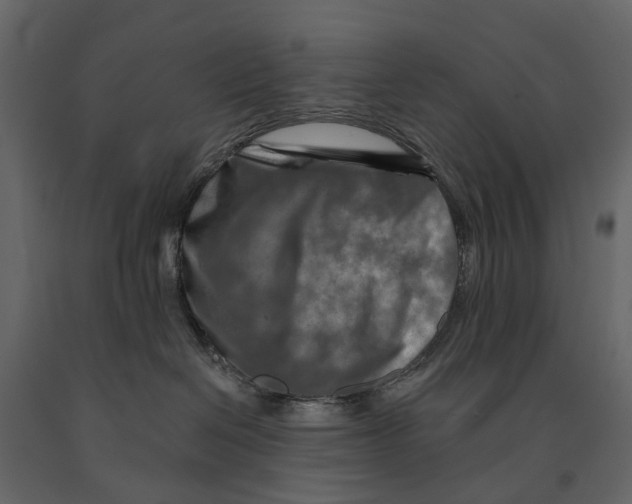 X0000090930286200708271050