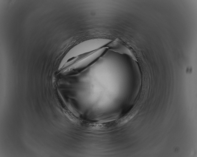 X0000090930288200708271050