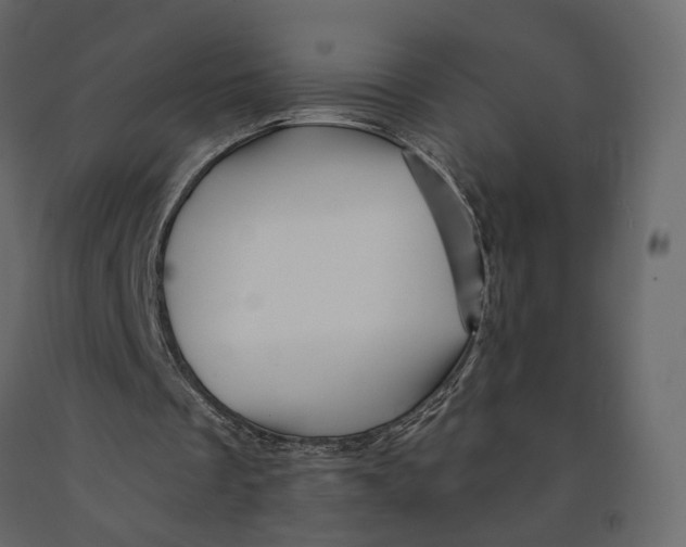 X0000090930289200708271050