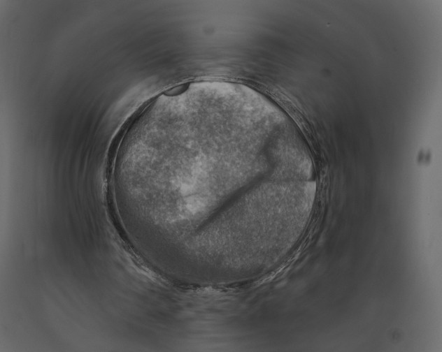 X0000090930290200708271050