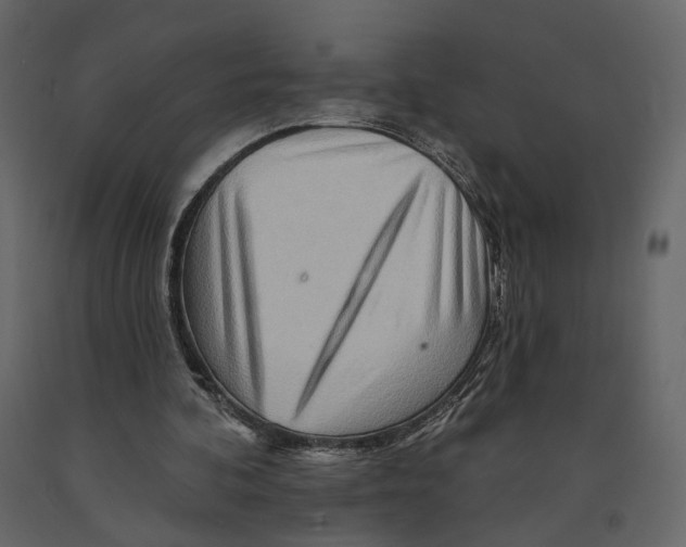 X0000090930292200708271050