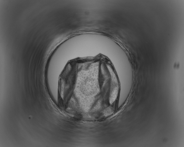 X0000090930293200708271050