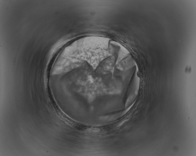 X0000090930294200708271050