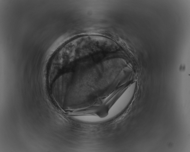 X0000090930295200708271050