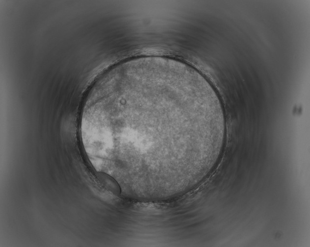 X0000090930297200708271050