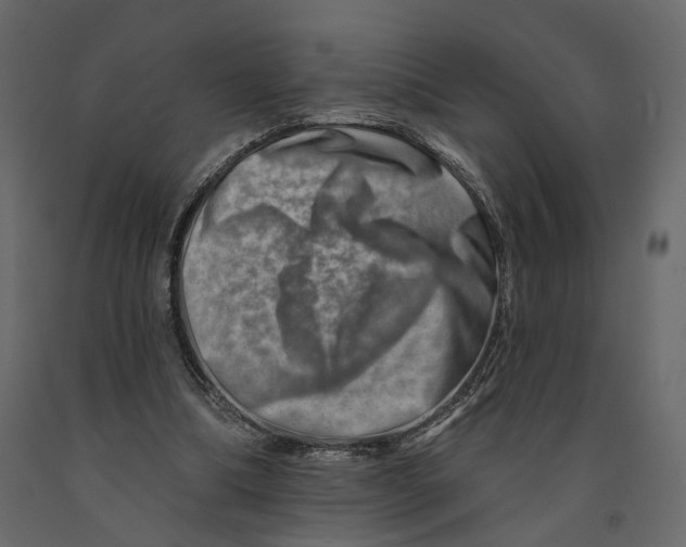 X0000090930298200708271050