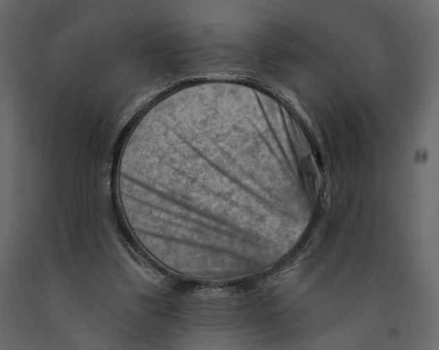 X0000090930299200708271050